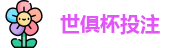 2025世界俱乐部杯
